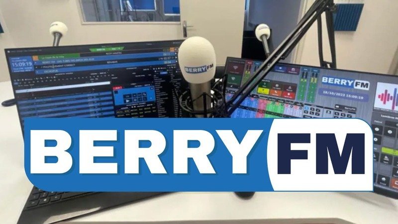 Création de logo pour BerryFM, station de radio locale dans le secteur des médias