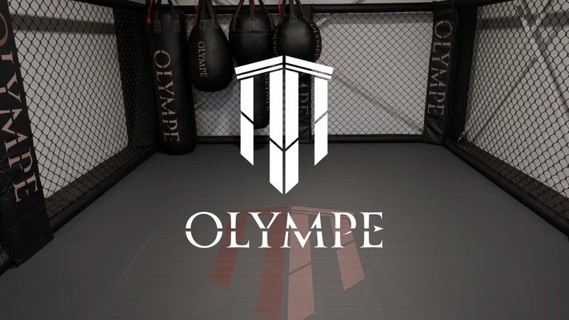 Création de logo pour Olympe, salle de sport premium à Reims